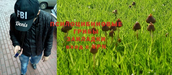 2c-b Балабаново