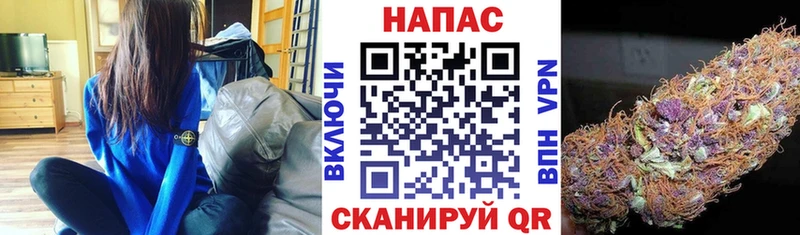 Шишки марихуана индика Новочеркасск